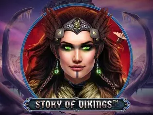 Story Of Vikings screenshot